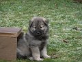 djago_w (69)